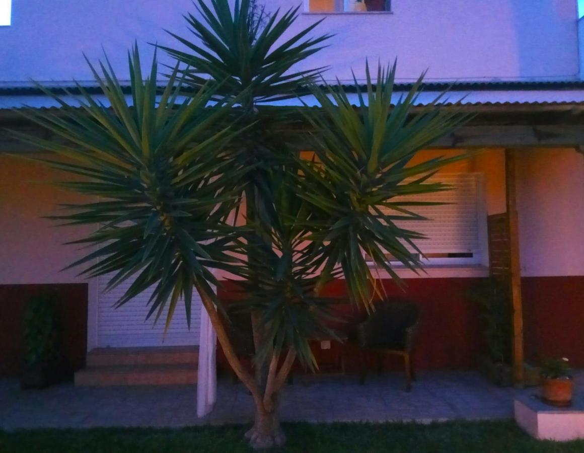 Casablanca El Petit Hotel Deltebre Ngoại thất bức ảnh