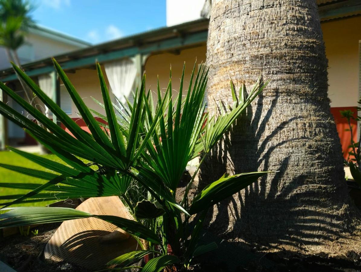 Casablanca El Petit Hotel Deltebre Ngoại thất bức ảnh