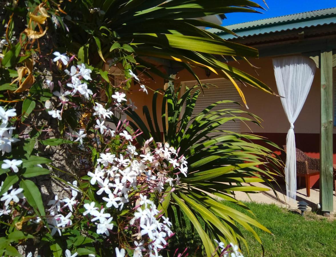 Casablanca El Petit Hotel Deltebre Ngoại thất bức ảnh